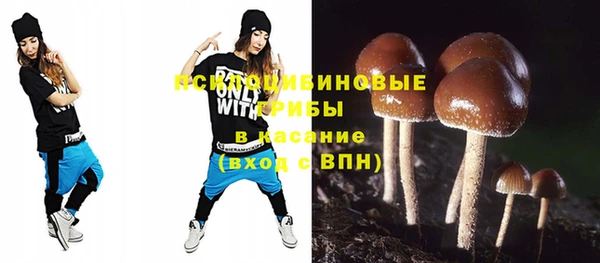 соль ск Аркадак