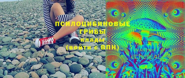 прущая мука Арсеньев